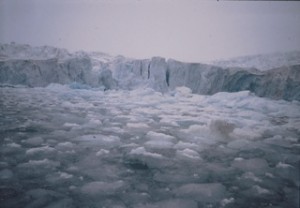 Glacia in Alaska 1989